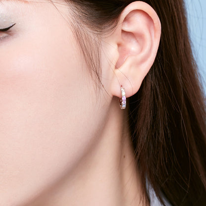 [Perla Lux]Radiant Colorful Round Cut Earrings